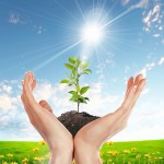 Let's Grow Your Business